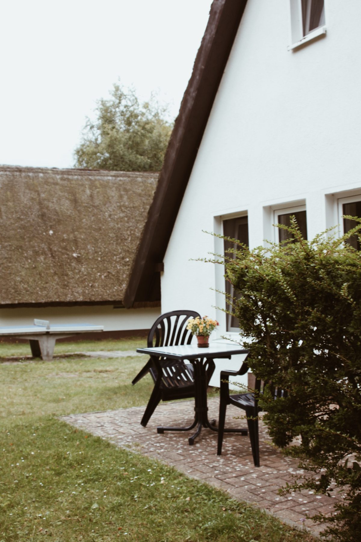 Terrasse mit Tisch und Stühlen an der Hauswand, Reetdach im Hintergrund